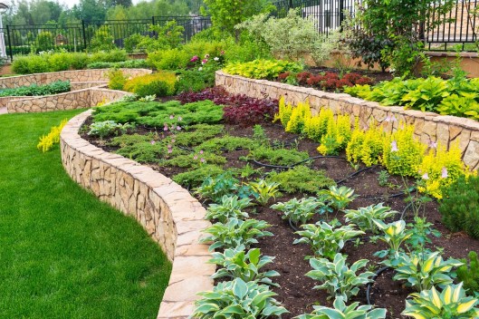 Transform Your Yard with These Edible Landscaping Ideas